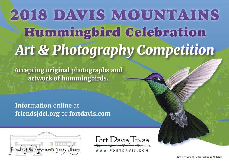 hummingbird front.jpg