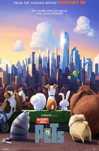 Family Movie Night: "The Secret Life of Pets"
