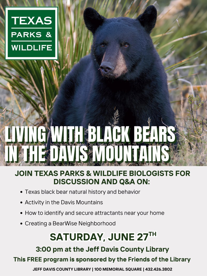 Living with Black Bears in the Davis Mountains.jpg